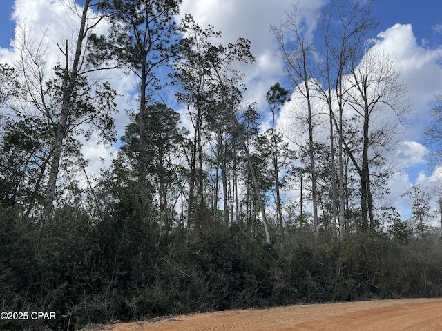 LOT27 Southern Blvd, Alford FL, 32420 land for sale