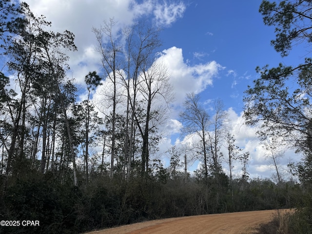 Listing photo 2 for LOT27 Southern Blvd, Alford FL 32420