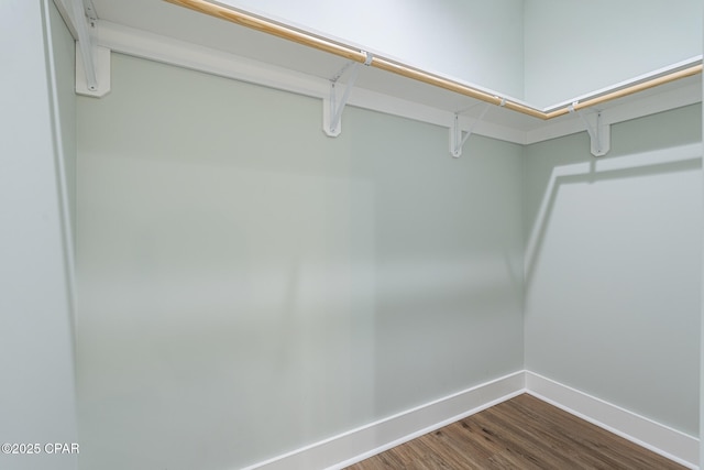spacious closet featuring dark wood-type flooring