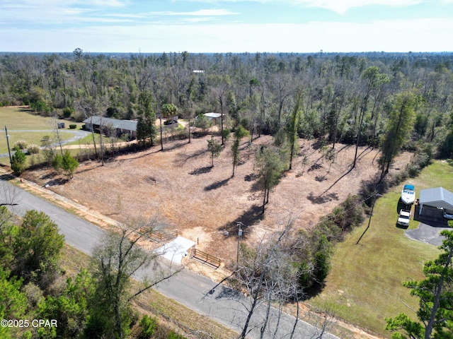 0 Donna Dr, Marianna, FL 32446