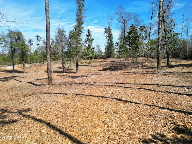 0 Donna Dr, Marianna, FL 32446