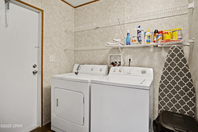 laundry room with dark wood-style floors, washer and clothes dryer, and laundry area
