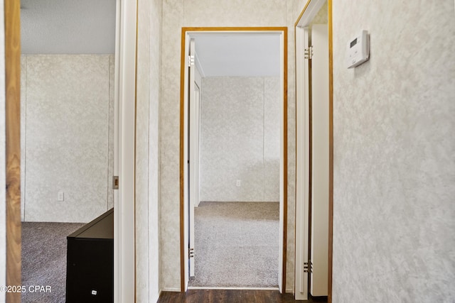hallway featuring wood finished floors