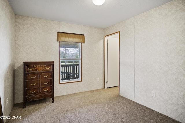 unfurnished room with carpet flooring