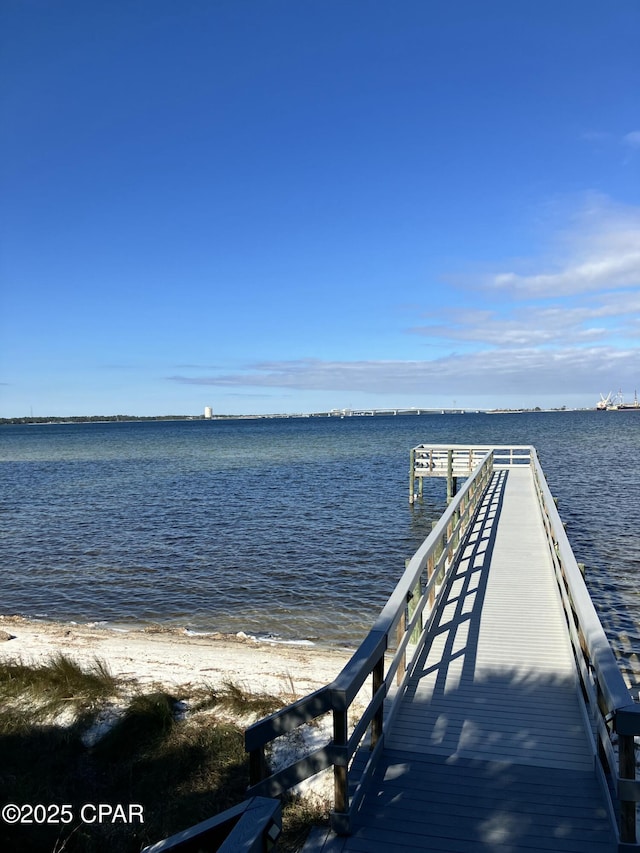 dock area with a water view