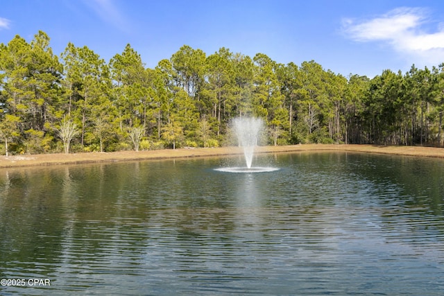 property view of water with a wooded view