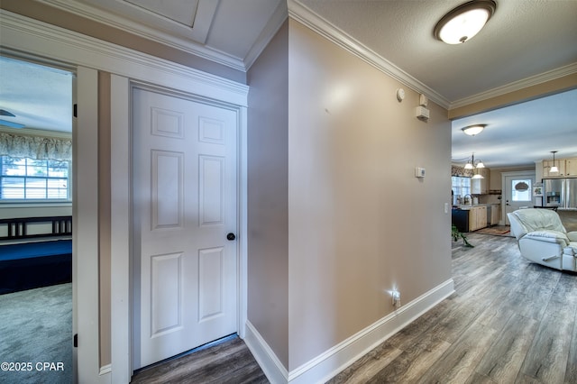 hallway featuring crown molding, dark hardwood / wood-style floors, and a textured ceiling