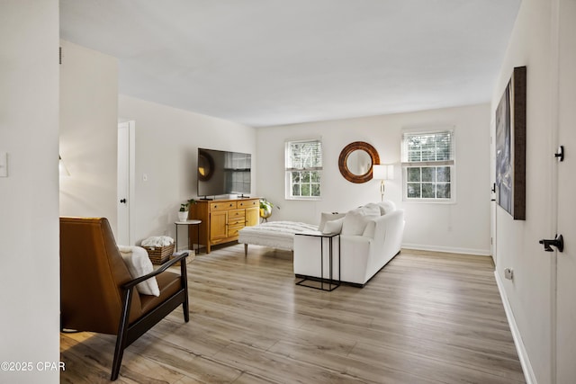 living room featuring light hardwood / wood-style flooring and a wealth of natural light