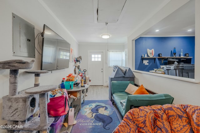 interior space featuring electric panel, wood finished floors, attic access, and ornamental molding