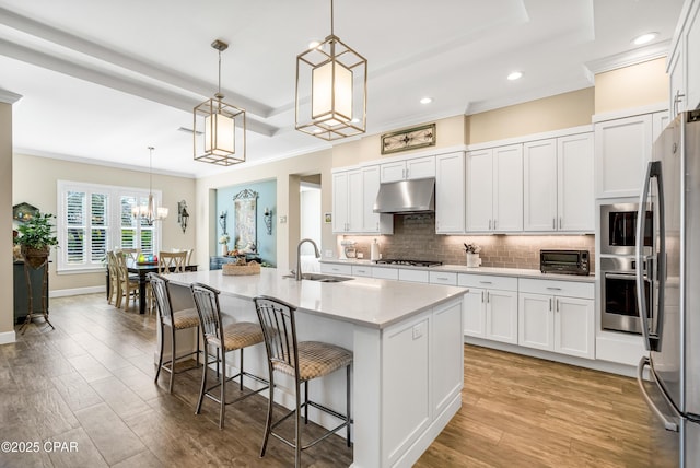 kitchen with under cabinet range hood, stainless steel appliances, a sink, decorative backsplash, and a tray ceiling