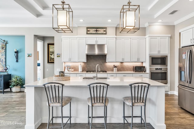 kitchen with a raised ceiling, dark wood-type flooring, light countertops, stainless steel appliances, and under cabinet range hood