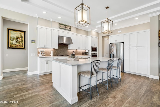 kitchen with a tray ceiling, stainless steel appliances, tasteful backsplash, a sink, and under cabinet range hood