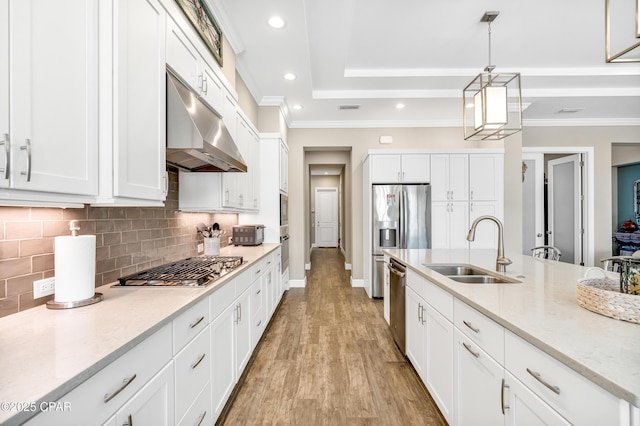 kitchen with stainless steel appliances, crown molding, light wood-type flooring, under cabinet range hood, and a sink