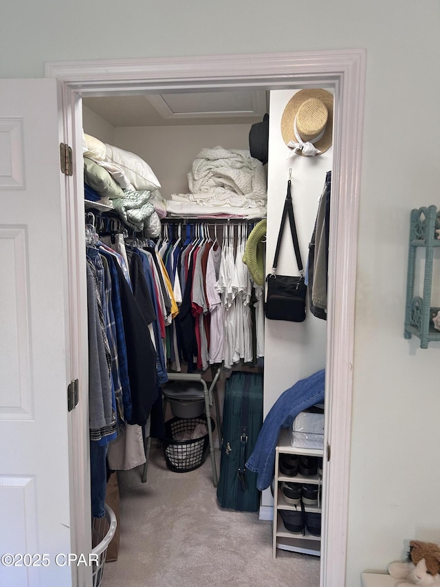 spacious closet with carpet flooring