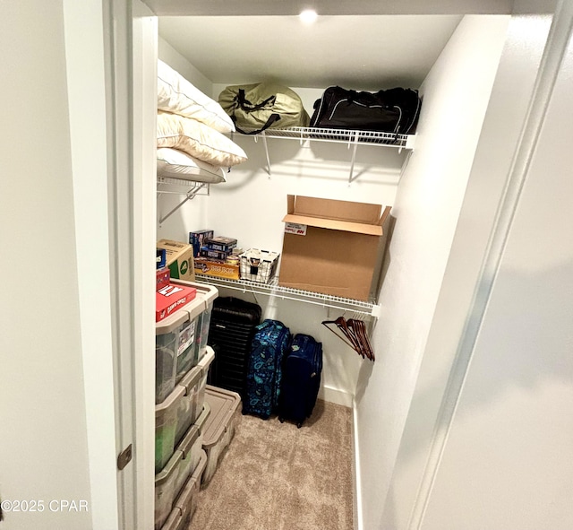 spacious closet featuring carpet flooring