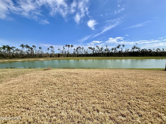 view of water feature