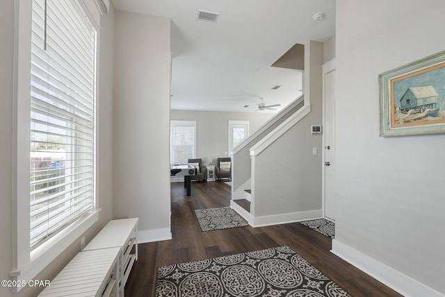 entrance foyer with dark hardwood / wood-style floors