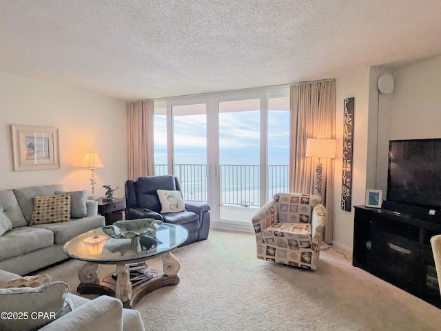 carpeted living area featuring a textured ceiling