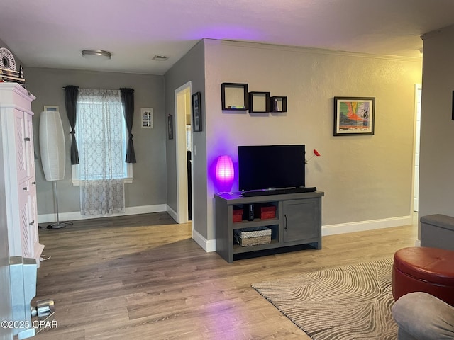 living room with hardwood / wood-style flooring