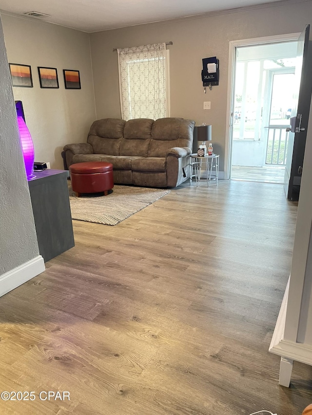 living room with hardwood / wood-style flooring