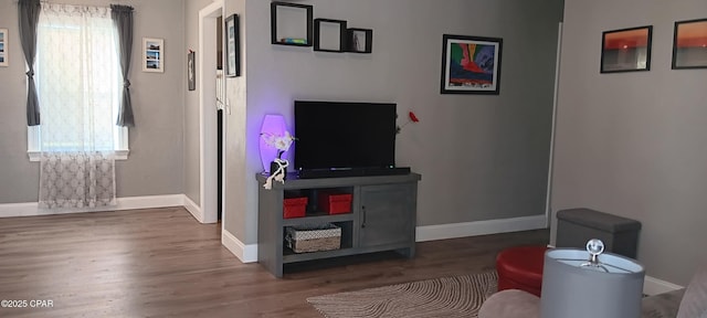 living room with dark wood-type flooring