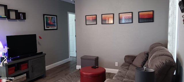 living room with dark hardwood / wood-style flooring