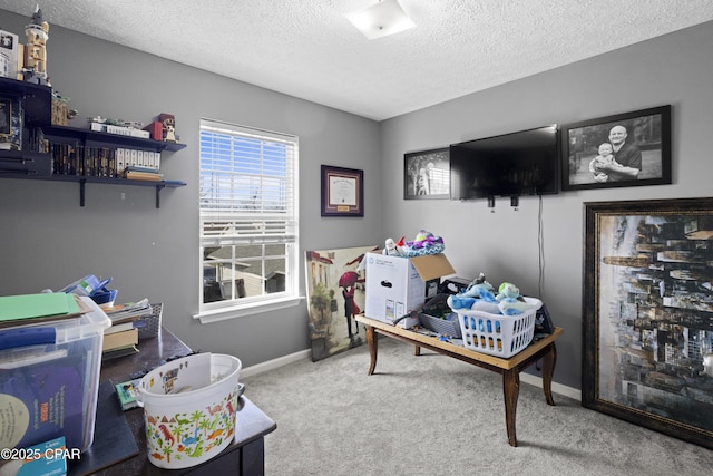 rec room with carpet flooring and a textured ceiling