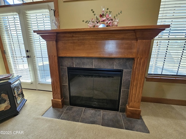 details with a fireplace and carpet floors