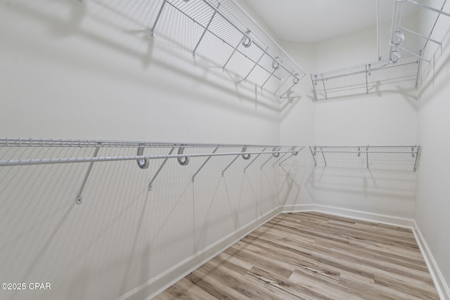 walk in closet featuring wood finished floors