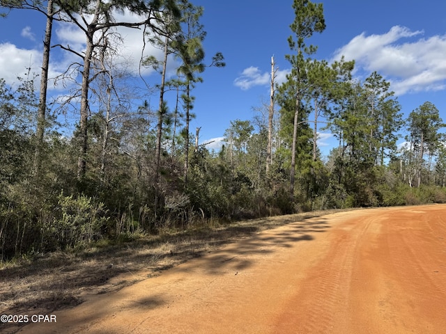 Listing photo 3 for 0 Grand Mesa Ave, Alford FL 32420