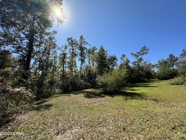 000 Maridale Rd, Marianna FL, 32448 land for sale