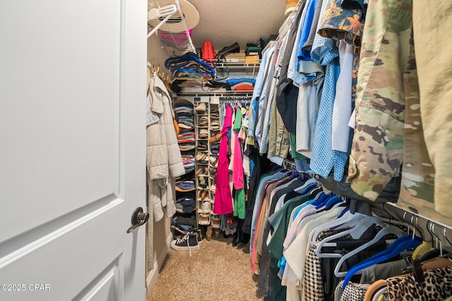 walk in closet with carpet floors