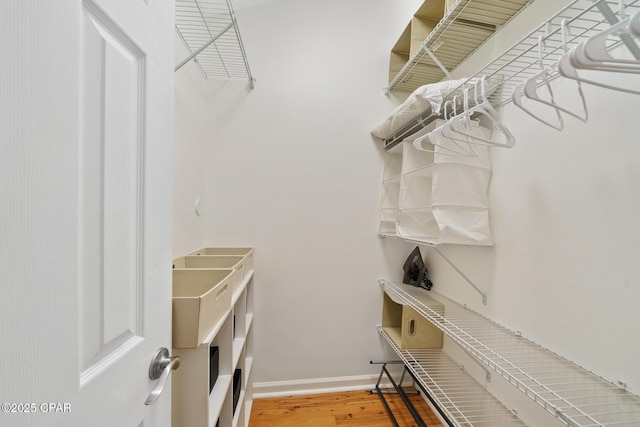 spacious closet featuring wood finished floors