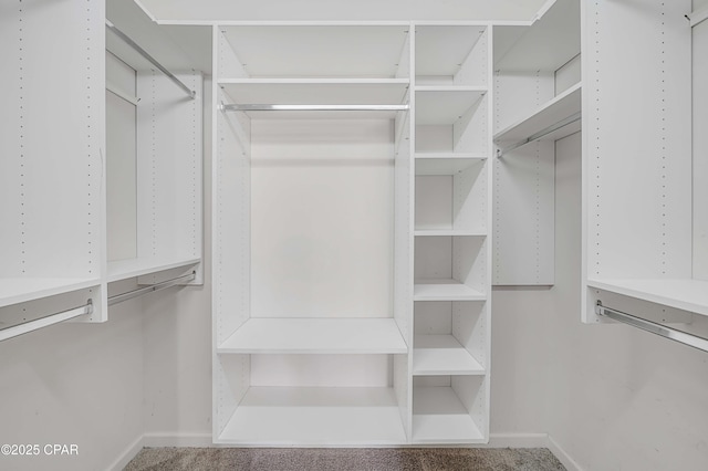 view of walk in closet