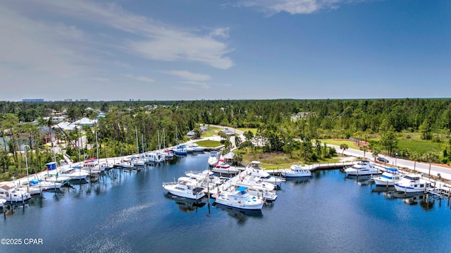 aerial view with a water view and a view of trees