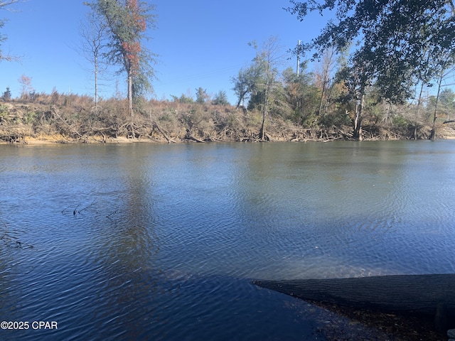 000 Missy Ln, Clarksville, FL 32430