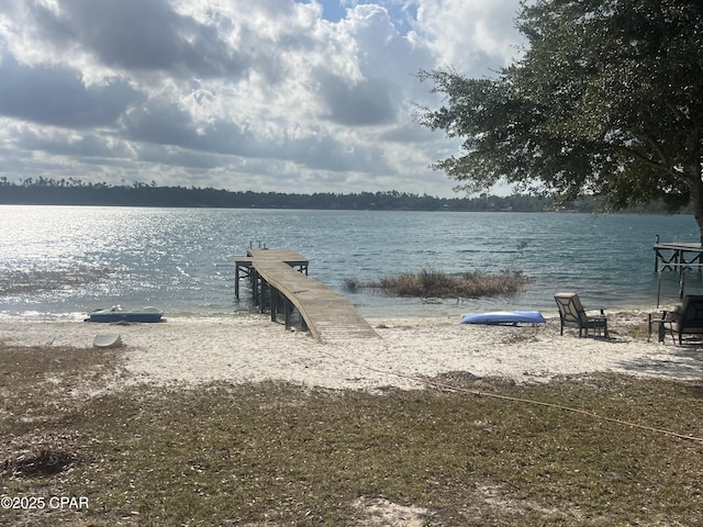 dock area with a water view