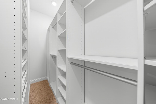 196 Martingale Loop, Lynn Haven, FL 32444 - spacious closet featuring light carpet
