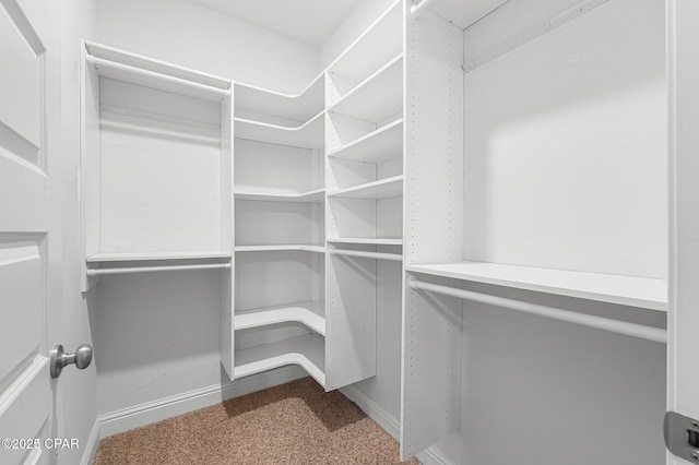 196 Martingale Loop, Lynn Haven, FL 32444 - spacious closet with carpet