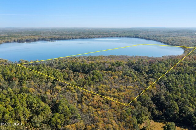 3199 Pate Pond Rd, Vernon, FL 32462