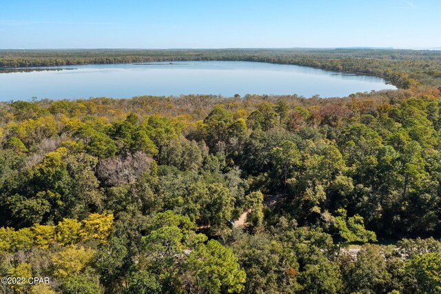 3199 Pate Pond Rd, Vernon, FL 32462