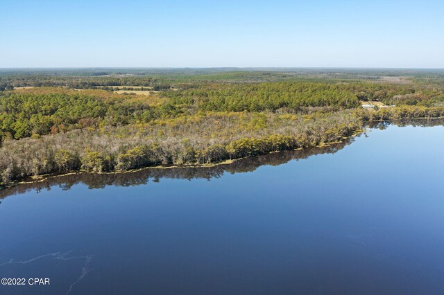 3199 Pate Pond Rd, Vernon, FL 32462