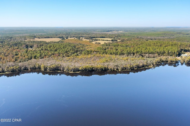 3199 Pate Pond Rd, Vernon, FL 32462