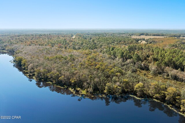 3199 Pate Pond Rd, Vernon, FL 32462
