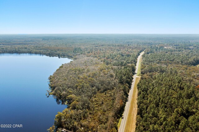 3199 Pate Pond Rd, Vernon, FL 32462