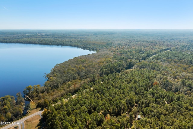 3199 Pate Pond Rd, Vernon, FL 32462
