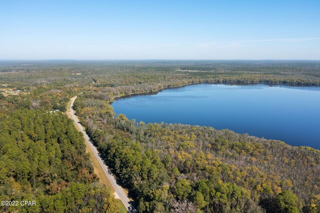 3199 Pate Pond Rd, Vernon, FL 32462