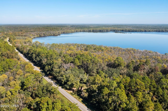3199 Pate Pond Rd, Vernon, FL 32462