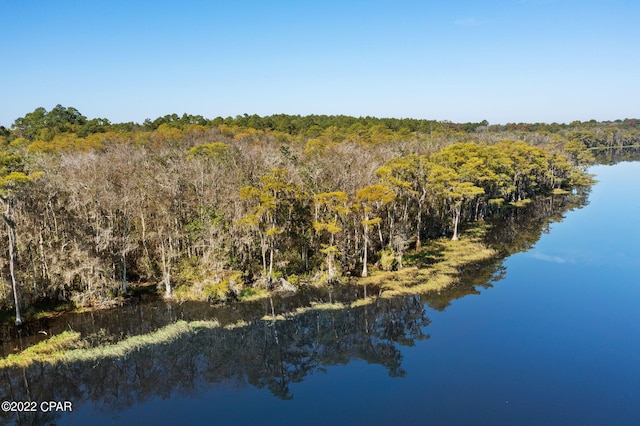 3199 Pate Pond Rd, Vernon, FL 32462