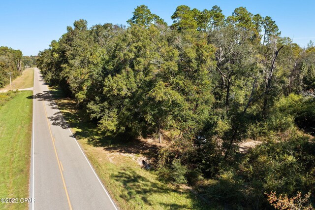 3199 Pate Pond Rd, Vernon, FL 32462